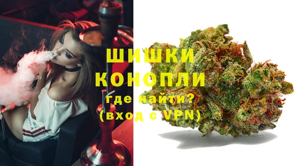 индика Аркадак